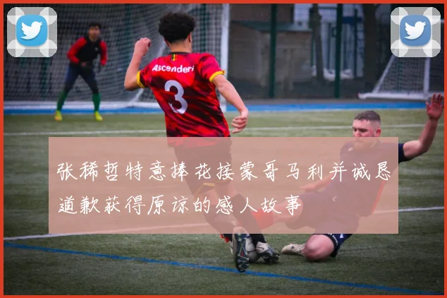 张稀哲特意捧花接蒙哥马利并诚恳道歉获得原谅的感人故事