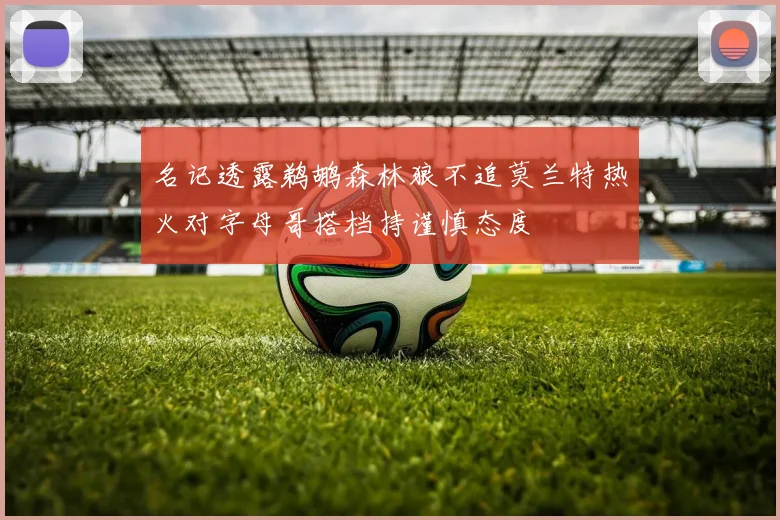 名记透露鹈鹕森林狼不追莫兰特热火对字母哥搭档持谨慎态度